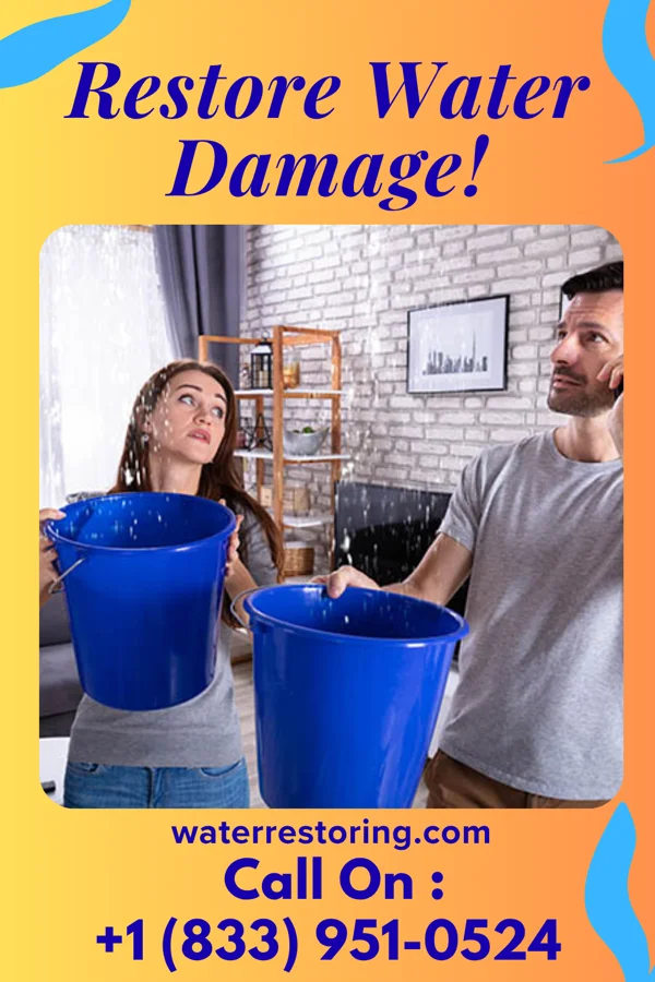 water restoration New Water Removal Pros Lodge