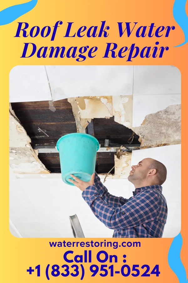 Roof Leak Water Damage Repair in Lodge, SC