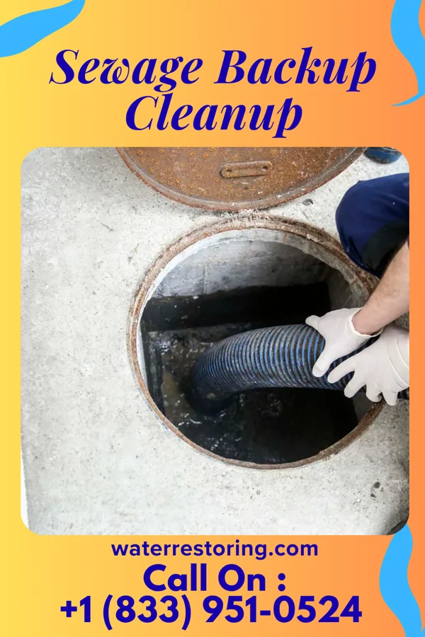 Sewage Backup Cleanup in Lodge, SC